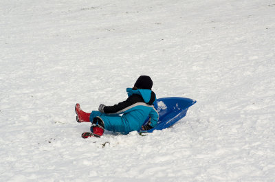 IMG08872.jpg