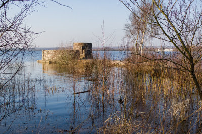 IMG09303_1000.jpg