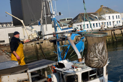 Retour de pêche à Concarneau