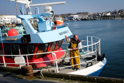 Retour de pêche à Concarneau