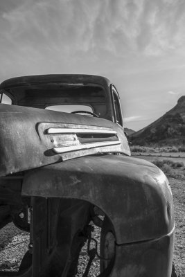 Relic of the Desert