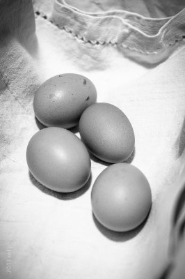 Eggs