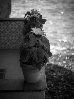 Boccadasse