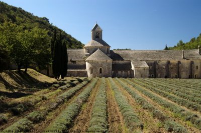 Abbaye de Senanque.jpg