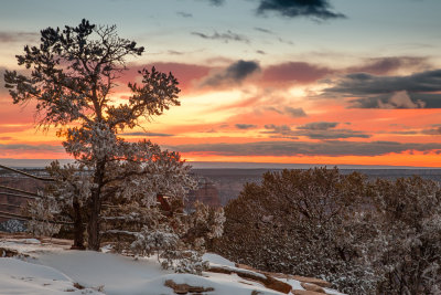 Grand_Canyon_Spring_2013-10.jpg