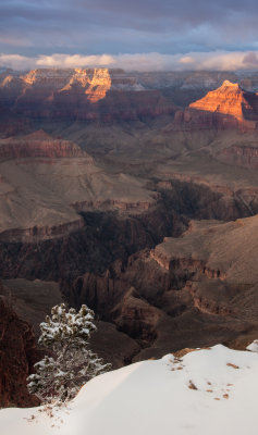 Grand_Canyon_Spring_2013-13.jpg