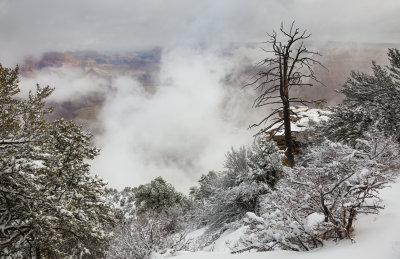 Grand_Canyon_Spring_2013-21.jpg