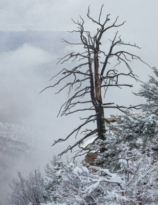 Grand_Canyon_Spring_2013-22.jpg