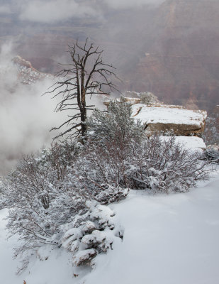 Grand_Canyon_Spring_2013-34.jpg