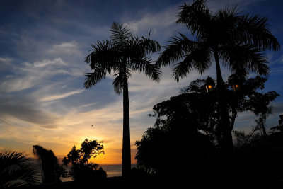 Dusk From Resort's Terrace