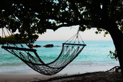 Hammock Hanging In Sea Grape Tree
