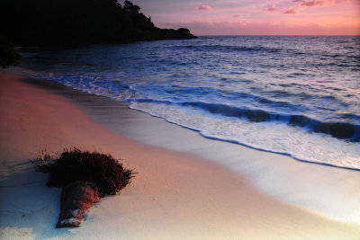 Pink Predawn Seascape