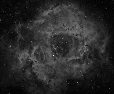 Officina Stellare Veloce RH 200 First Light - The Rosette Nebula