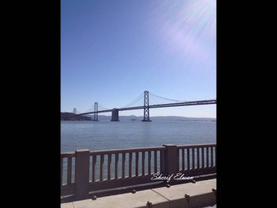 Bay Bridge (4).JPG