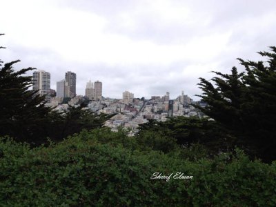 From Coit Hill (2).JPG