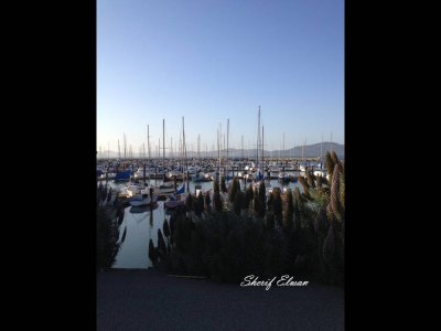 Marina Dock (1).JPG