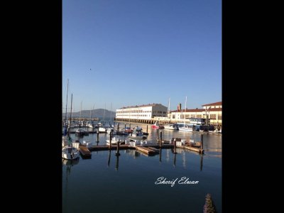 Marina Dock (2).JPG