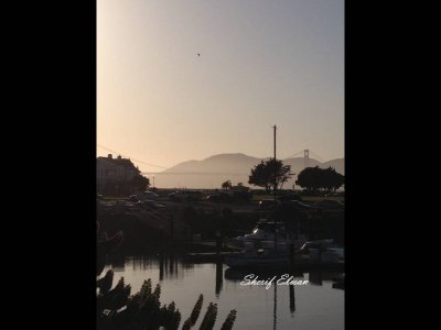 Marina Dock (4).JPG
