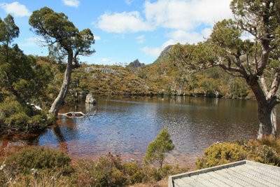 Wombat Pool