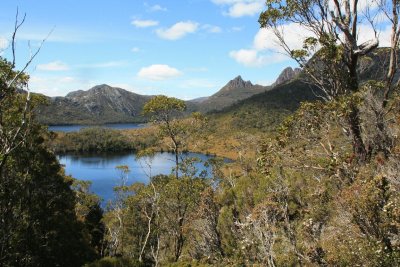 Wombat Pool