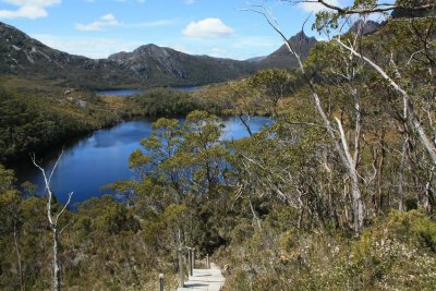 Wombat Pool