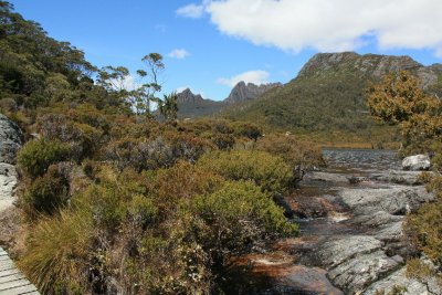 Wombat Pool
