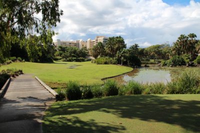 8th Tee