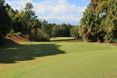 9th Tee