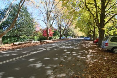 Mount Wilson - The Avenue