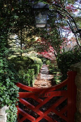 Mount Wilson - Bebeah Garden
