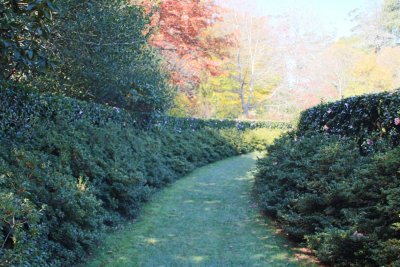 Mount Wilson - Bebeah Garden