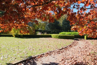 Mount Wilson - Bebeah Garden
