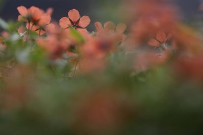g2/28/186028/3/148169726.RqTxkEx9.jpg