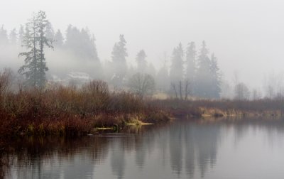 Foggy Afternoon