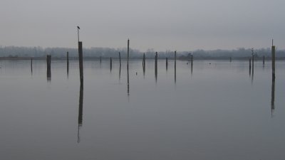 g2/28/338428/3/148940252.tny4zHnI.jpg