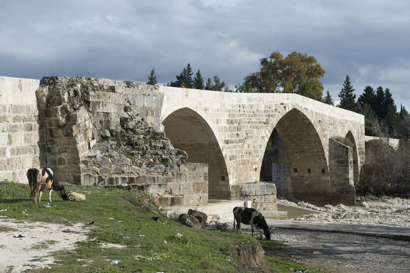 Aspendos december 2012 7324.jpg