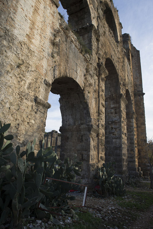 Aspendos december 2012 7362.jpg