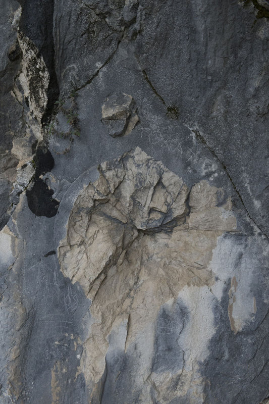 Termessos december 2012 7228.jpg