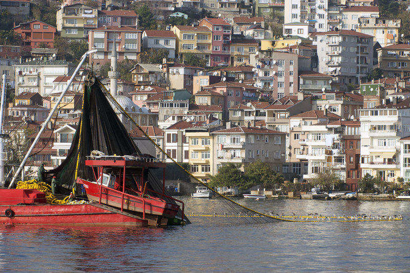 Istanbul december 2012 6217.jpg