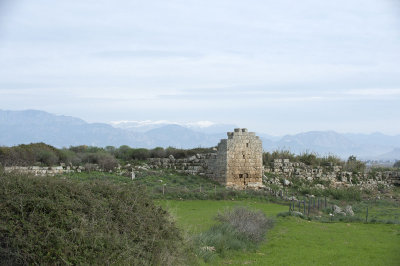 Perge december 2012 6825.jpg