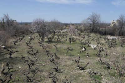 Uzuncaburc march 2013 9384.jpg