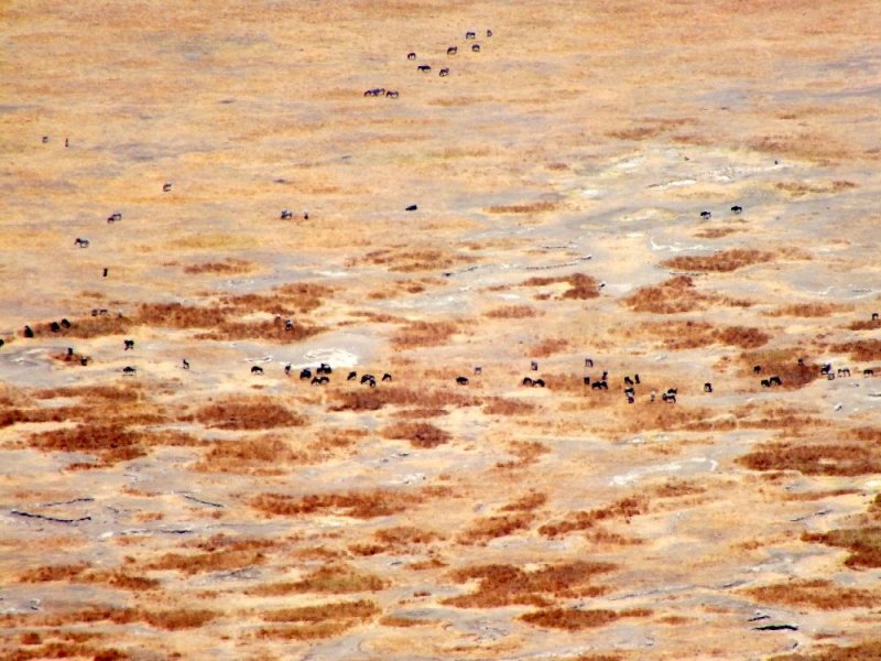 This picture was taken from the rim of the crater, about 2,000 above the crater floor and probably 1,000 horizonal distance
