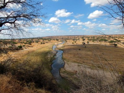 A panorama of the Tarangire NP plains