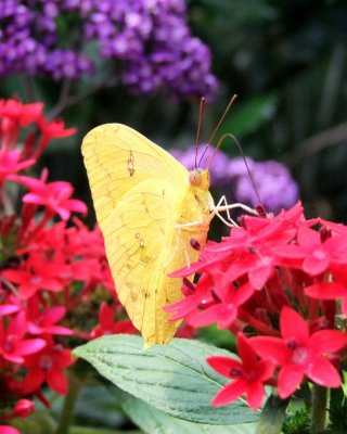 g2/28/417028/3/149142750.J4M7Emmq.jpg