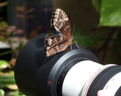 (Not my camera, unfortunately :)