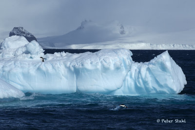 Iceberg2.jpg