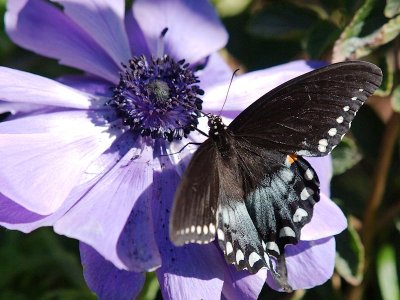 DBG 2010_03_13 -030.jpg