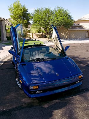 lambo