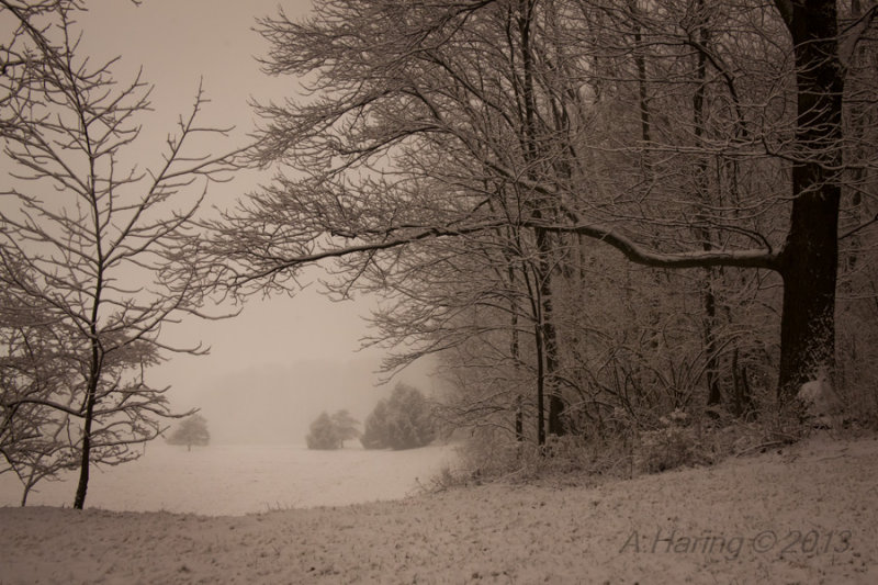 Nighttime snowfall