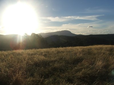 Bird View to Mount Roland